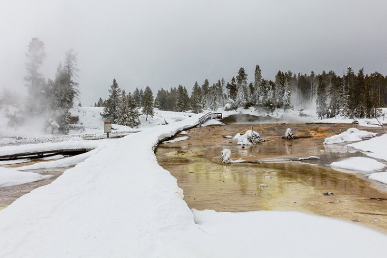 28 Yellowstone NP.jpg